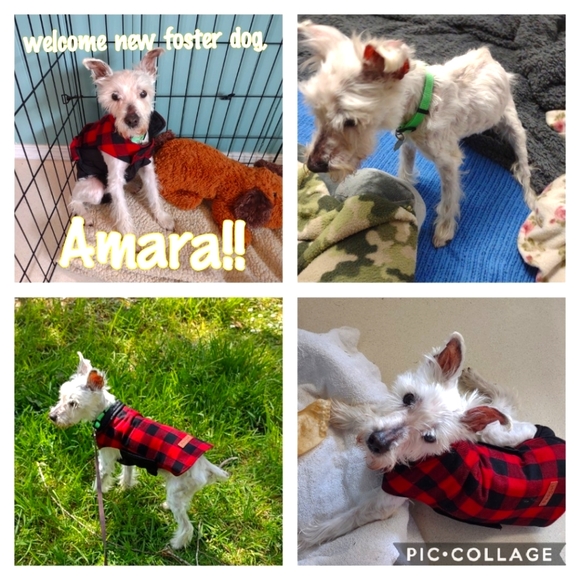 100% clean & professional environment! 😷 - Picture 4 of 5